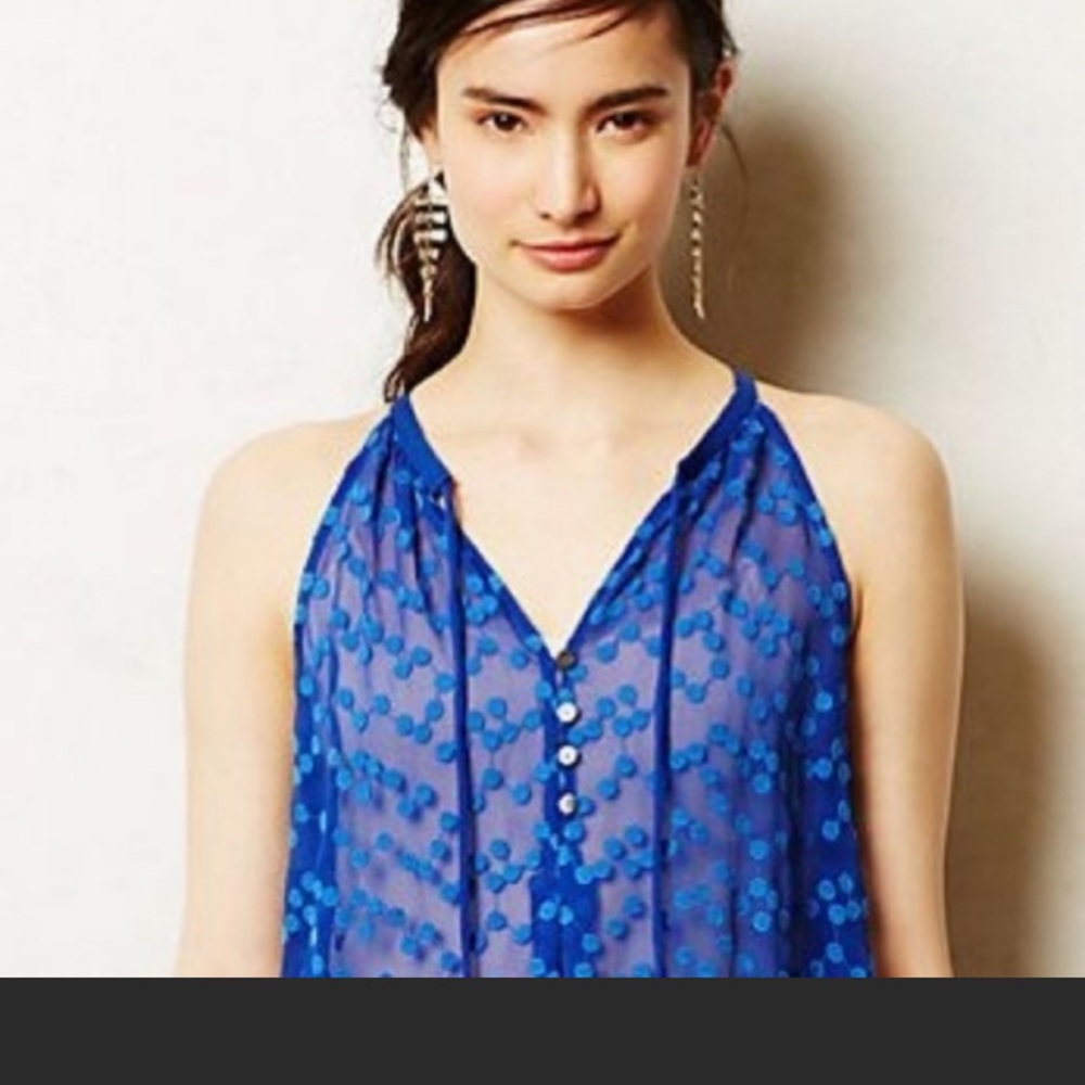 Anthropologie Royal Blue Sheer Zoa Top